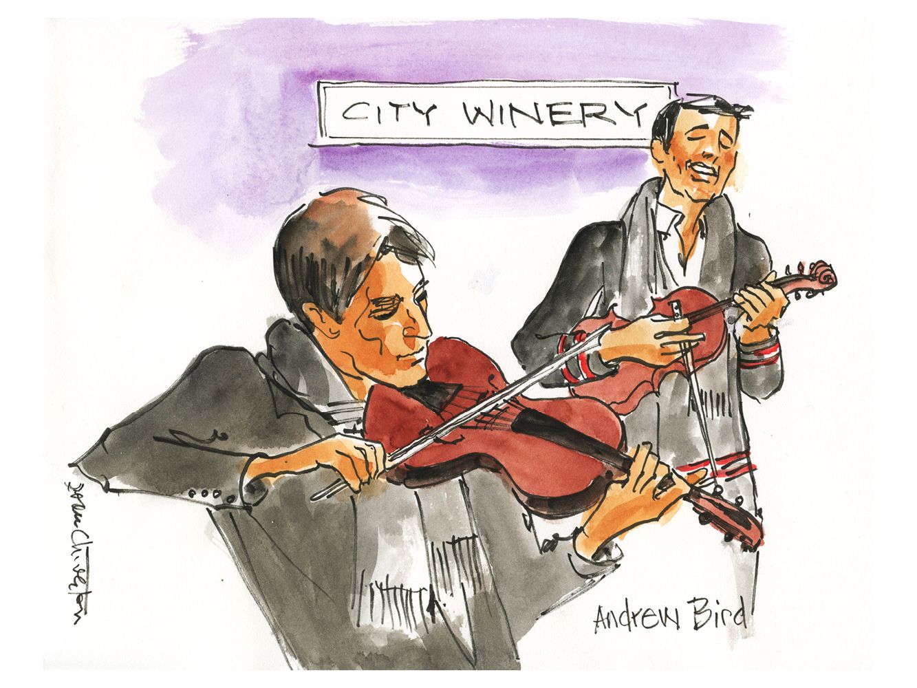 Andrew Bird "On Violin" by Joan Chiverton