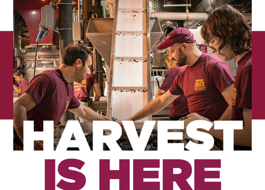 Harvest is Here and We Are Officially in Crush Season