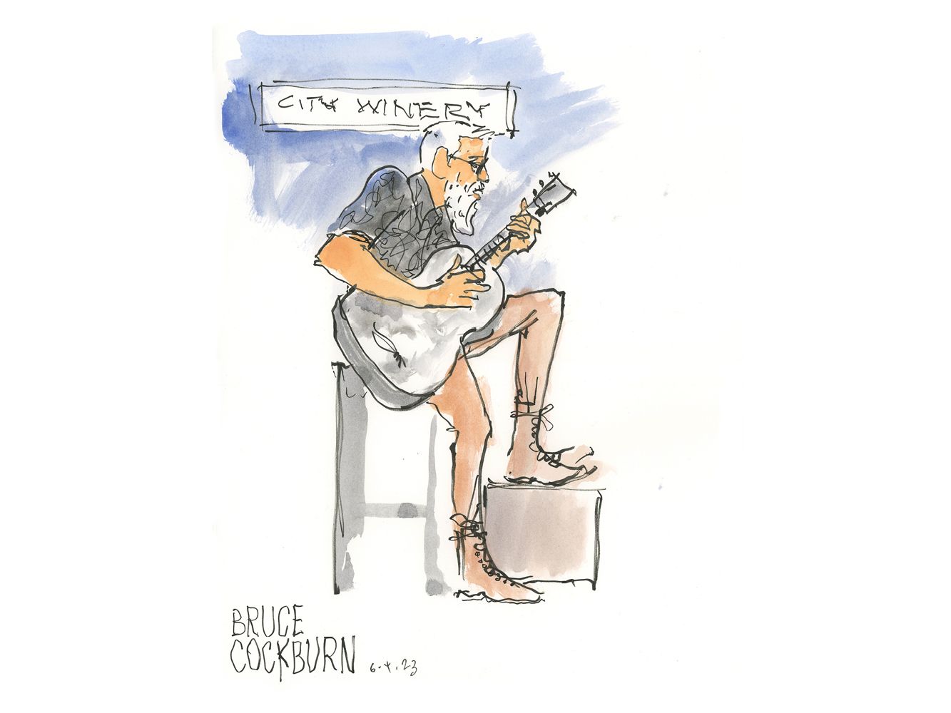 Bruce Cockburn by Joan Chiverton 