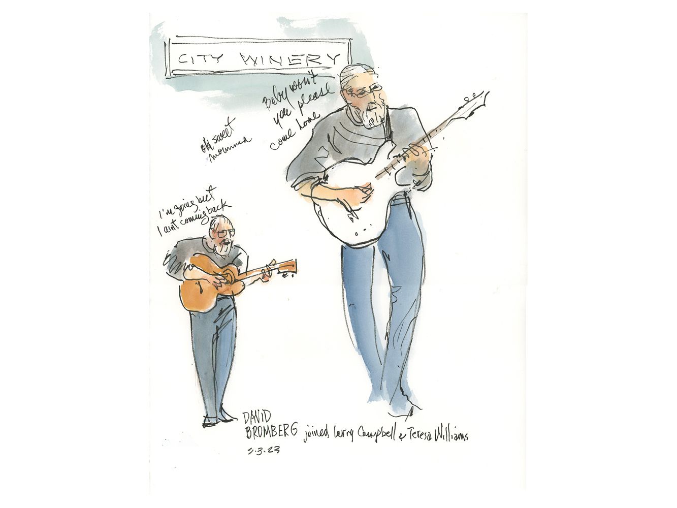 David Bromberg "Baby Won't You Please Come Home" by Joan Chiverton